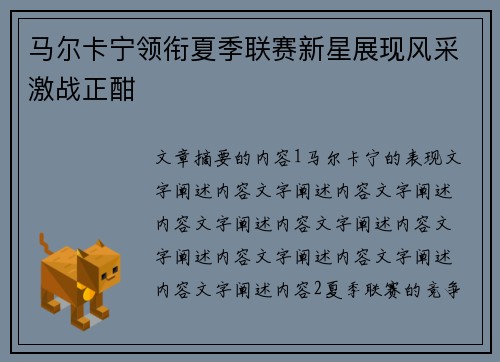 马尔卡宁领衔夏季联赛新星展现风采激战正酣
